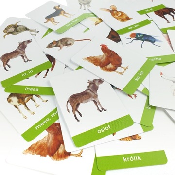 Карты Монтессори. Схема деревни