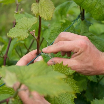 10 KG Drut wiązałkowy 1,2 do zbrojenia zbrojeniowy rękawice L GRATIS