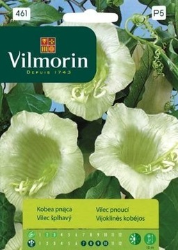 Kobea pnąca biała nasiona Vilmorin