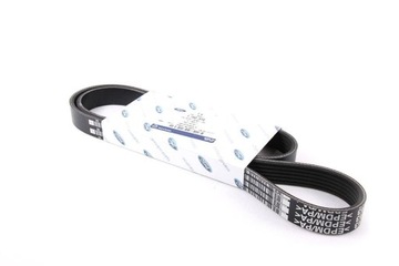Pasek wielorowkowy / klinowy Ford Focus 2008 - 2011 1.8 DURATEC 16V 2.0