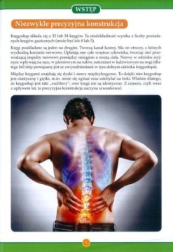 БОЛЬ ПОЗВОНОЧНИКА И СУСТАВОВ