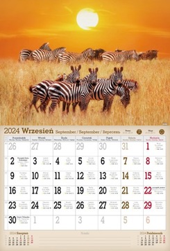 Настенный календарь А3 на 2024 год. Дикие животные.