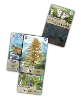 Рука мятежного леса: Альпы