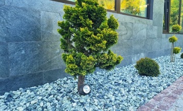 ЗЕЛЕНАЯ ГАЛЬКА GREEN&BLACK STONE GARDEN 10 КГ