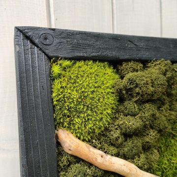 КАРТИНА СО МХОМ 50см ПРЕМИУМ яркая деревянная рамка лес в картине украшение МОХ