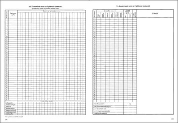 Журнал уроков I/3 для всех. типы школ - 11ч.