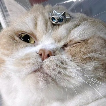 Pierścionek obrączka kobieta kot kotek regulowany