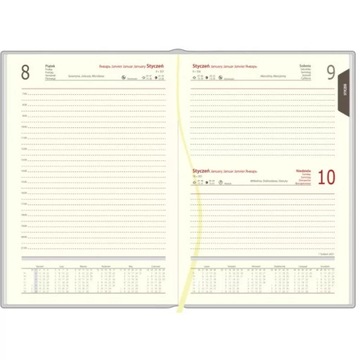 Kalendarz książkowy dzienny 2025 A5 BALADEK jasny brąz