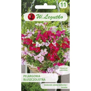 PELARGONIA BLUSZCZOLISTNA ZWISAJĄCA MIX NASIONA