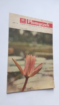 PLOMYCZEK Dwutygodnik dla dzieci nr 10/1970
