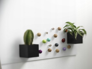 Magnesy do tablicy szklanej SKÓROPODOBNE B. *2szt*