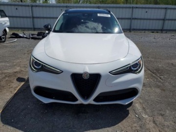 Alfa Romeo Stelvio 2020 Alfa Romeo Stelvio 2020. 2.0 Benzyna 280KM, zdjęcie 5
