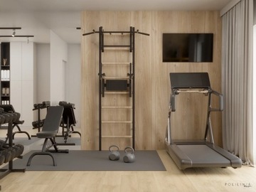 ЛЕСТНИЦА ГИМНАСТИЧЕСКАЯ + БРУСЬ + ПЕРИЛА ЧЕРНАЯ СКАМЬЯ