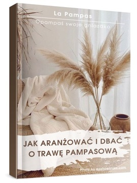 TRAWA PAMPASOWA SUSZONA DO WAZONU OZDOBNA PAMPASY