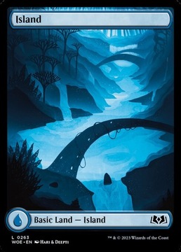 Karta Magic: The Gathering Island 263 WOE FullArt