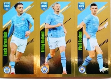PANINI naklejki FIFA 365 2024 NAKLEJKA 97 a b c MANCHESTER CITY HAALAND