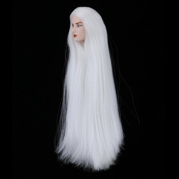 1/6 Boy Dolls Head Sculpt z białymi włosami męskimi