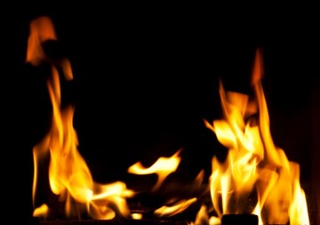 БИОТОПЛИВО ДЛЯ БИОКАМИНА ЛЕСНОЙ ВКУС ПЖ СЕРТИФИКАТ 20л без дыма и копоти