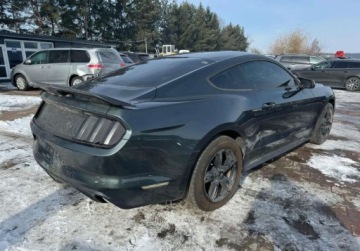 Ford Mustang VI Convertible 2.3 EcoBoost 317KM 2015 Ford Mustang 2015 Ford Mustang 2.3L - w POLSCE po oplatach i akcyzie FV, zdjęcie 4