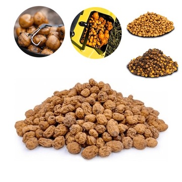 ORZECH TYGRYSI DO GOTOWANIA 8-16MM 1KG NA DUŻEGO KARPIA AMURA