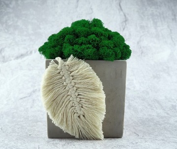 БЕТОННЫЙ ЦВЕТОЧНЫЙ ГОРШОК С МИКРОКЛИМАТОМ МХА