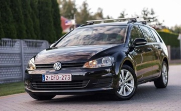 Volkswagen Golf VII Variant 1.6 TDI BlueMotion  110KM 2015 Volkswagen Golf Volkswagen Golf 1.6 Diesel 110KM, zdjęcie 13