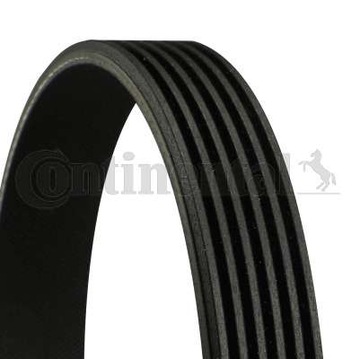 Pasek klinowy 6PK1210 CONTINENTAL WIELOROWKOWY Typ: 6PK Dł: 1210mm CONTI