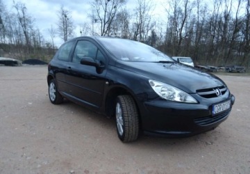 Peugeot 307 I Hatchback 2.0 16V 136KM 2004 Peugeot 307 2.0ben,klima,alu,zarejestrowan 2.0 Benzyna 136KM, zdjęcie 2