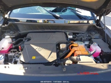 Kia Niro II 2024 Kia Niro 2024r., EX Touring FWD, 1.6L 1.6 Hybryda 139KM, zdjęcie 12