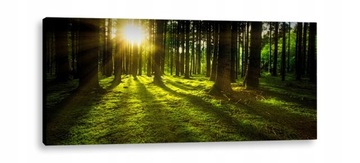 LED КАРТИНА 150х60 - с подсветкой - СОЛНЕЧНОЕ СИЯНИЕ