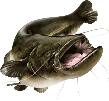 ФЕДЕРНАЯ ГОРЕЛКА BALZER FEEDERMASTER 141130010