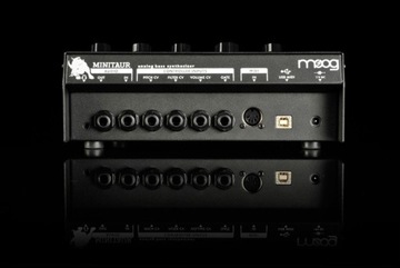 MOOG Minitaur SYNTHESIS Звуковой модуль | через 24 часа