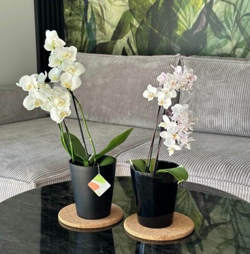 КЕРАМИЧЕСКАЯ КРЫШКА ДЛЯ ЦВЕТОЧНОГО ВАЗОНА ОРХИДЕЯ 13см, ЧЕРНАЯ