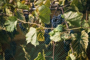 ЗАЩИТНАЯ СЕТЬ ДЛЯ ПТИЦ, НАЧИНКИ, БОЛЬШАЯ, ПРОЧНАЯ ОТ ПТИЦ-ВРЕДИТЕЛЕЙ, 5х10 М