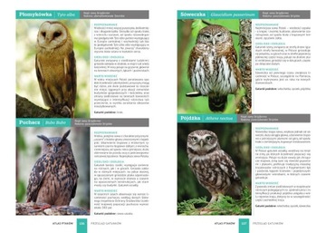 Атлас птиц Доминик Марховски