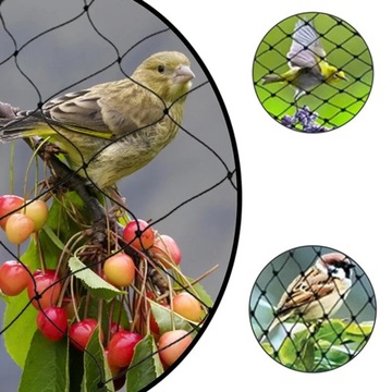 СЕТКА ДЛЯ ПТИЦ, защита от птиц и скворцов, ПРОЧНАЯ 50м2 Пломык 5х10м