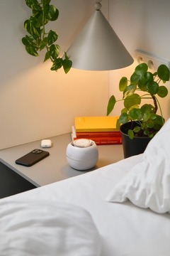 ZENT Ультразвуковой очиститель ювелирных изделий, косметики для дома 42 кГц 0,2л