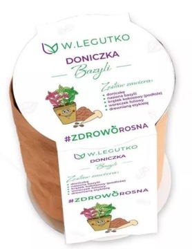ZESTAW Bazylii - DONICZKA NASIONA PODŁOŻE - LEGUTKO