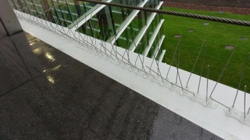 ПЛОТНЫЕ ШИРОКИЕ ИСТИНЫ ДЛЯ ПТИЦ И ГОЛУБЕЙ Ш180, Д. 50 см, ШИР. ЗАЩИЩАТЬ. ДО 24 см