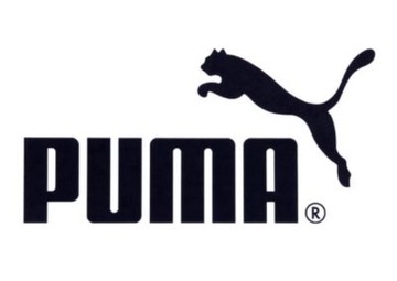 МУЖСКАЯ СПОРТИВНАЯ ФУТБОЛКА PUMA TEAMRISE, РАЗМЕР XL