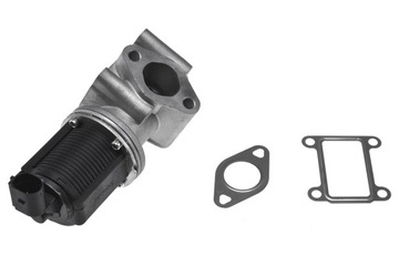 EGR-AR-000 NTY ZAWÓR EGR