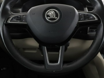 Skoda Kodiaq I SUV 2.0 TDI 150KM 2018 Škoda Kodiaq Skoda Kodiaq 2.0TDI Automat 4x4, zdjęcie 20