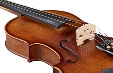 Студенческий скрипинка 4/4 скрипка от świerku / klon / heban от Thomann