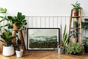 Картина из мха в раме МДФ Лес окутанный туманом, 60х40.