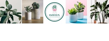 Керамическая крышка Рифленая Розовая