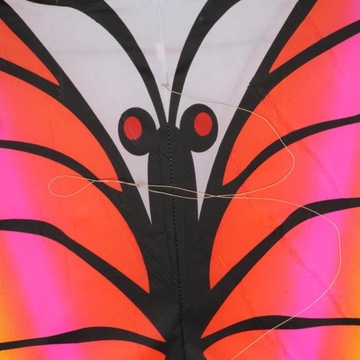 Красивая бабочка летает на открытом воздухе для детей. Пляжный стиль, детский спорт 2