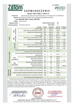 КОТЛ ПЕЛЛЕТНАЯ ПЕЧЬ ПЕЛЛАР ПЛЕШЕВ 5 КЛАСС, ЭКОДИЗАЙН 100 кВт KIPI GRANTS