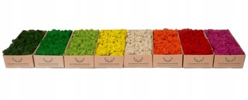 Mech Chrobotek Fiński Różowy Fuchsia 250g