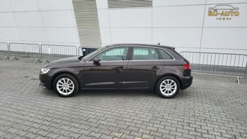 Audi A3 8P Cabriolet 1.6 TDI 105KM 2013 Audi A3 1.6TDI Serwis Oryginal 190Tkm Super st..., zdjęcie 11