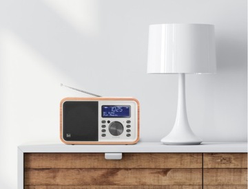 Цифровое радио Dual DCR 51 DAB+/FM с аккумулятором и Bluetooth — коричневое